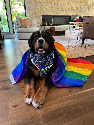Pride4 Marqeta